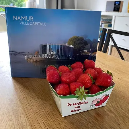 La Maison Du Bienvenu Villa