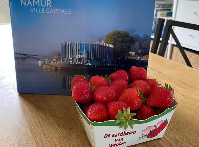 La Maison Du Bienvenu 别墅