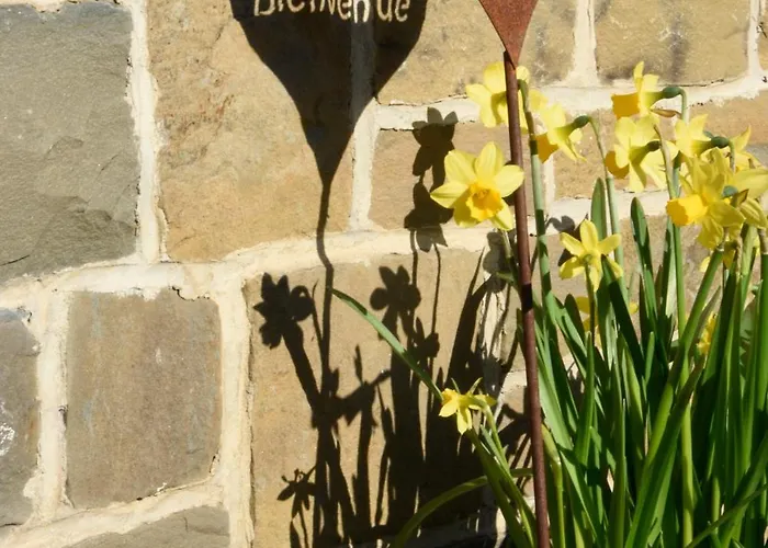 La Maison Du Bienvenu 别墅